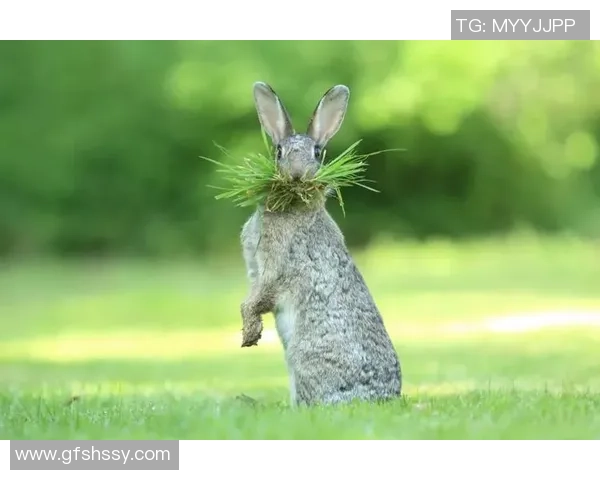 足球明星歪头搞笑瞬间合集欣赏让你捧腹大笑的精彩图片分享