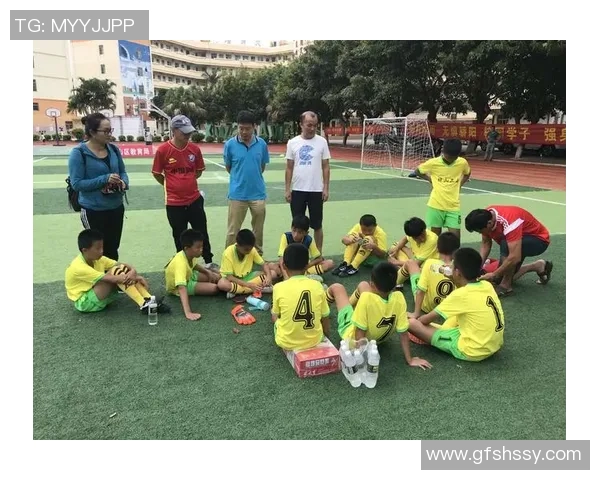 足球明星的个人资料与成就分析探讨