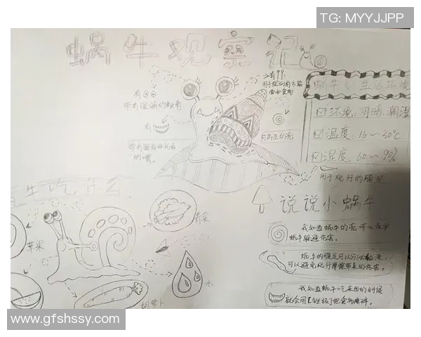 足球明星蜗牛的传奇故事与他在绿茵场上的辉煌成就揭秘